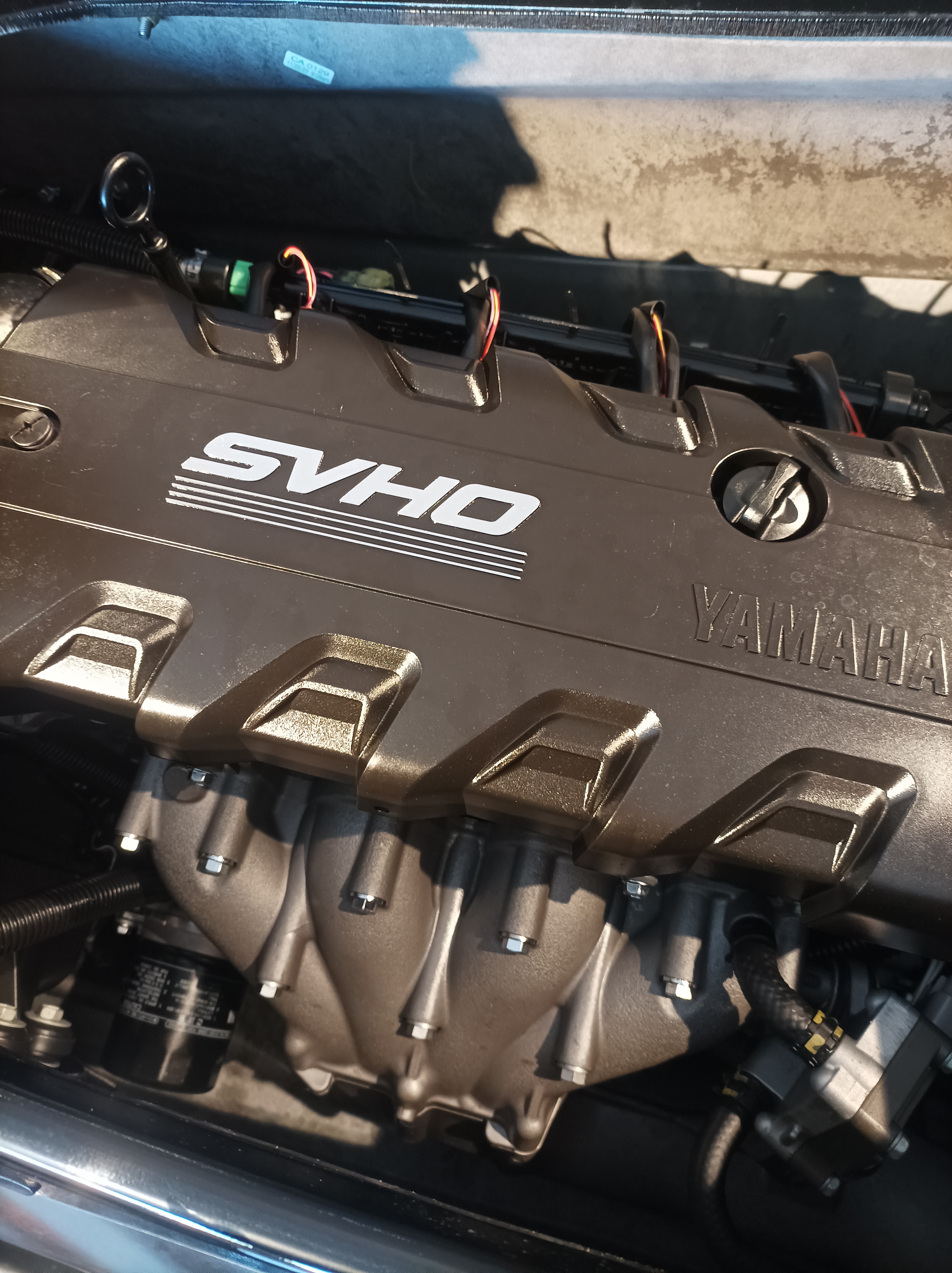 FX SVHO anno 2024 foto 6